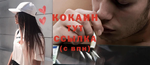 шишки Аркадак