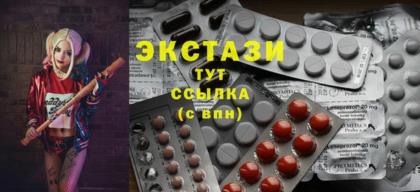 шишки Аркадак