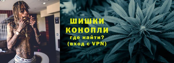 шишки Аркадак