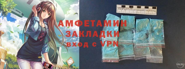 шишки Аркадак