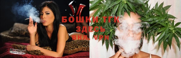 сатива Баксан